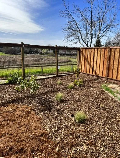 Local yard maintenance for homes in Napa, CA by DOV Landscaping