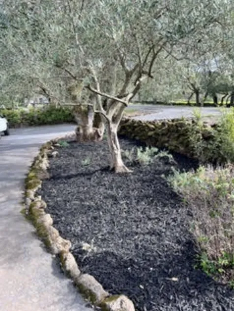 Top-rated landscaping services for beautiful yards across Napa, CA - DOV Landscaping