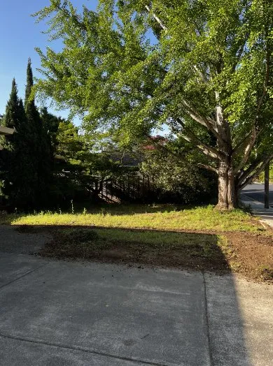 Top-rated landscaping services for homes across Napa, CA - DOV Landscaping