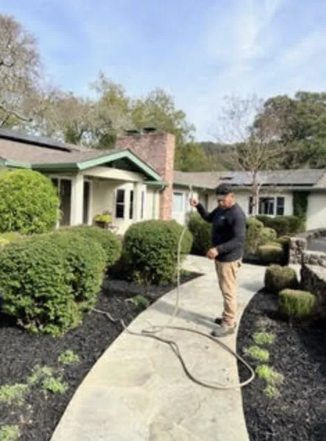 Professional lawn mowing service in Napa, CA - DOV Landscaping