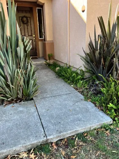 Reliable yard maintenance for year-round maintenance across Napa, CA - DOV Landscaping