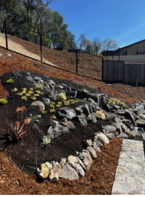 Top-rated yard cleanup service in Napa, CA by DOV Landscaping