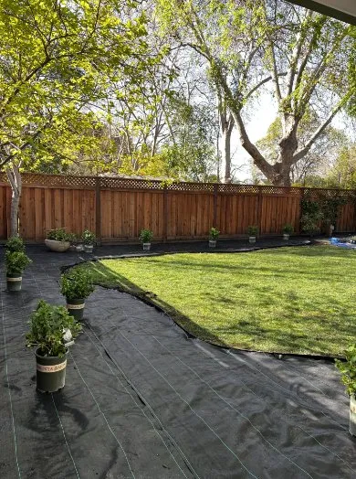 Expert residential landscaping in Napa, CA by DOV Landscaping