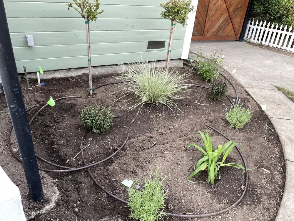 Top-rated landscape design for year-round maintenance in Napa, CA by DOV Landscaping