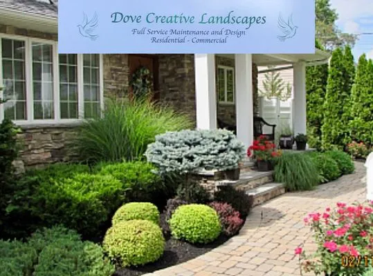 Dove Creative Landscapes