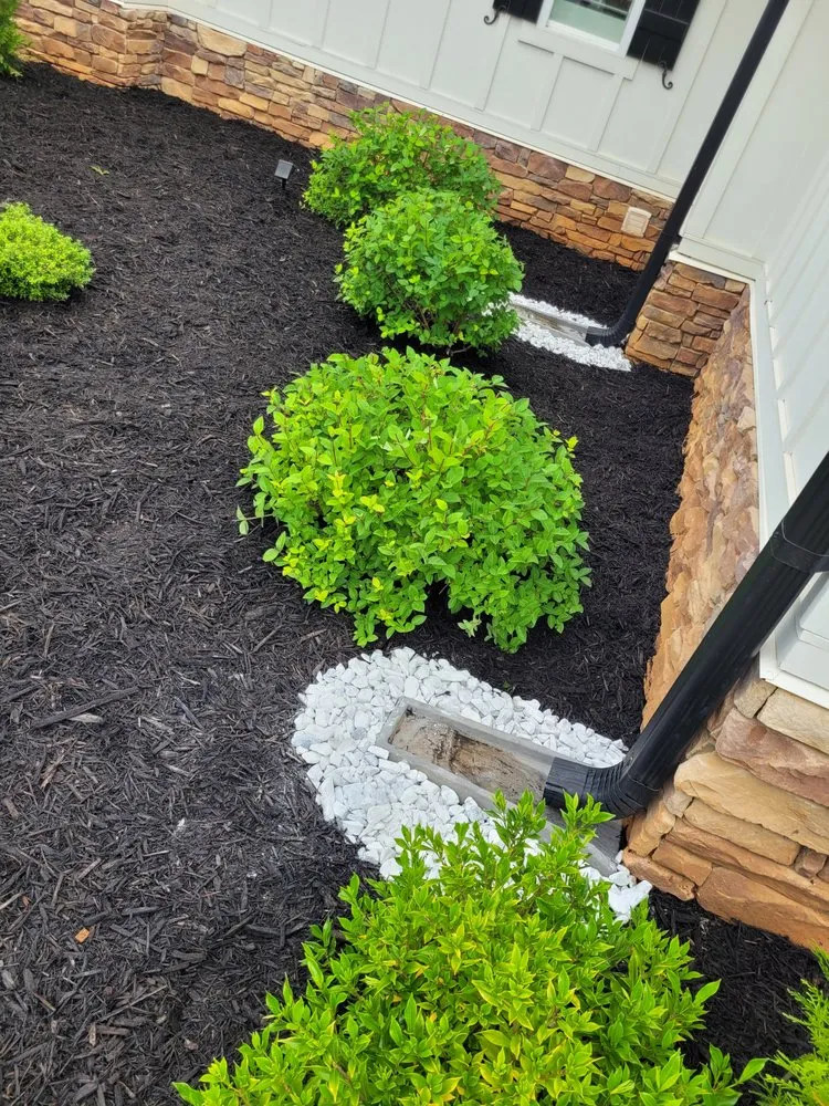 Reliable landscaping services for beautiful yards in Statham, GA by Dove Creek Landscaping