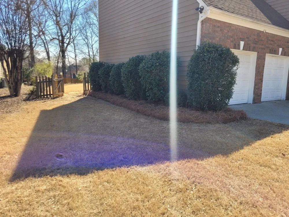 Expert residential landscaping with custom design in Statham, GA by Dove Creek Landscaping