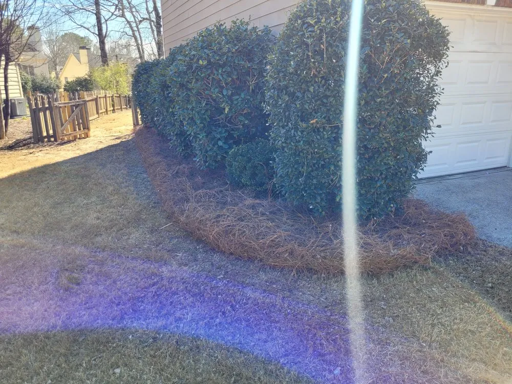 Reliable yard cleanup service experts serving Statham, GA - Dove Creek Landscaping