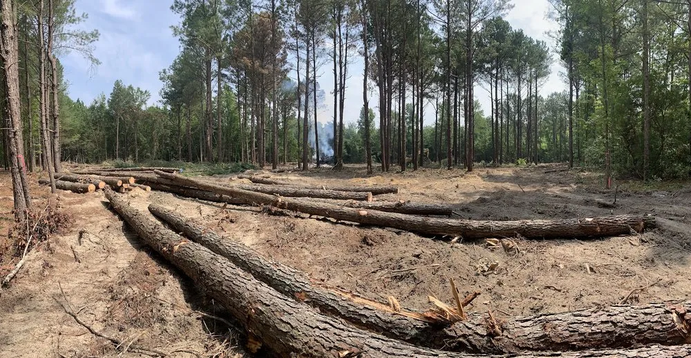 Professional lawn mowing service experts serving Hope Mills, NC - Dove Davis Lot Clearing And Landscaping