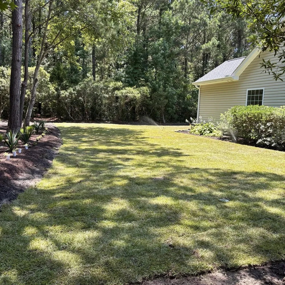 Top-rated yard cleanup service in Hope Mills, NC - Dove Davis Lot Clearing And Landscaping
