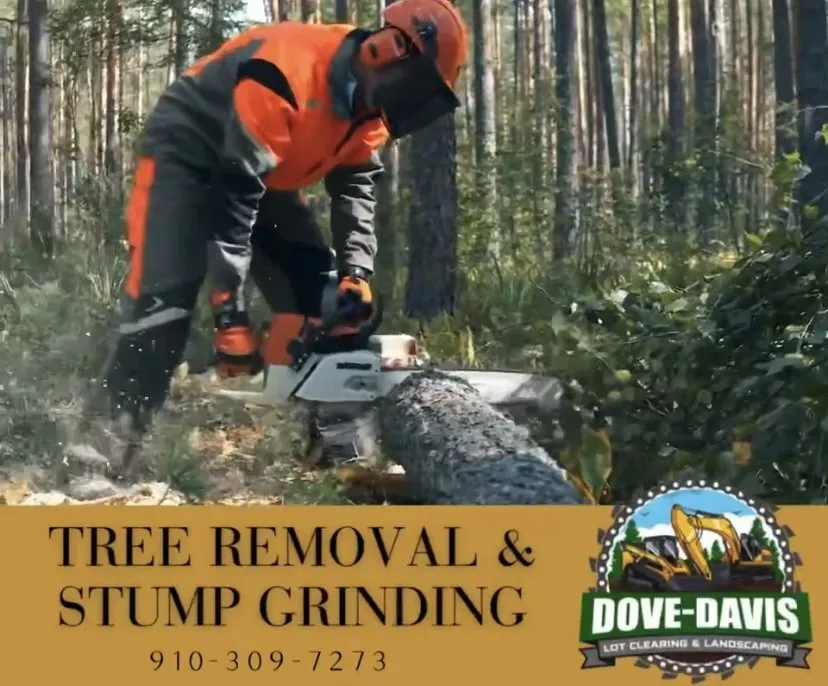 Affordable yard cleanup service experts serving Hope Mills, NC - Dove Davis Lot Clearing And Landscaping