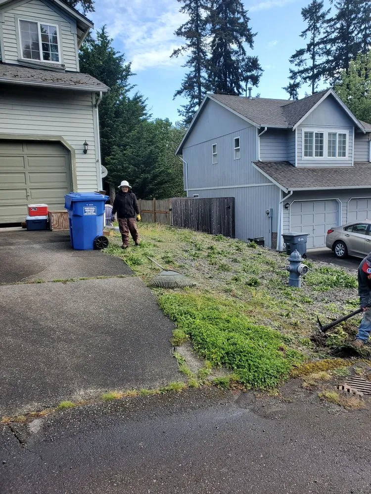 Reliable lawn care service with custom design across Lakewood, WA - Dove Landscaping