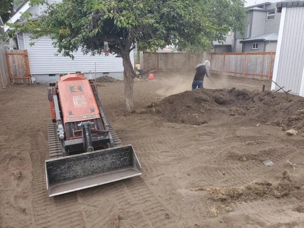 Top-rated yard cleanup service for beautiful yards across Lakewood, WA - Dove Landscaping