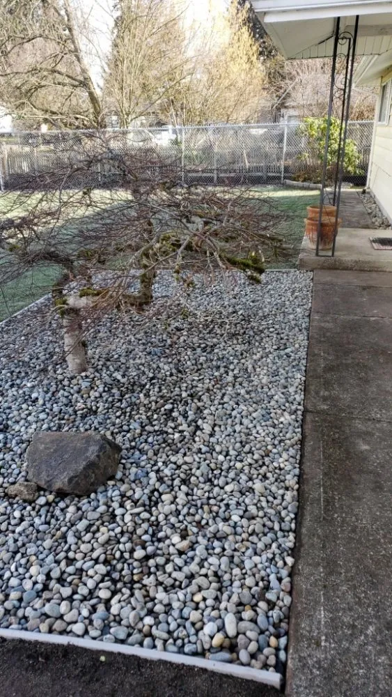 Professional landscape installation with custom design across Lakewood, WA - Dove Landscaping