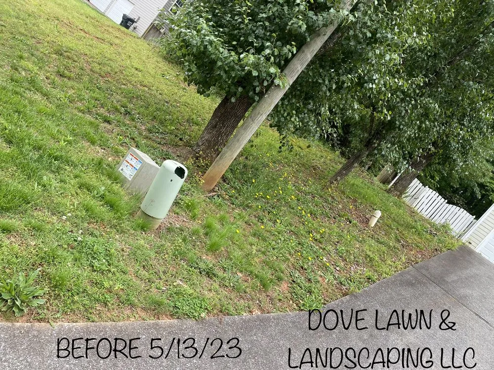 Custom yard cleanup service near you across Mableton, GA - Dove Lawn Landscaping