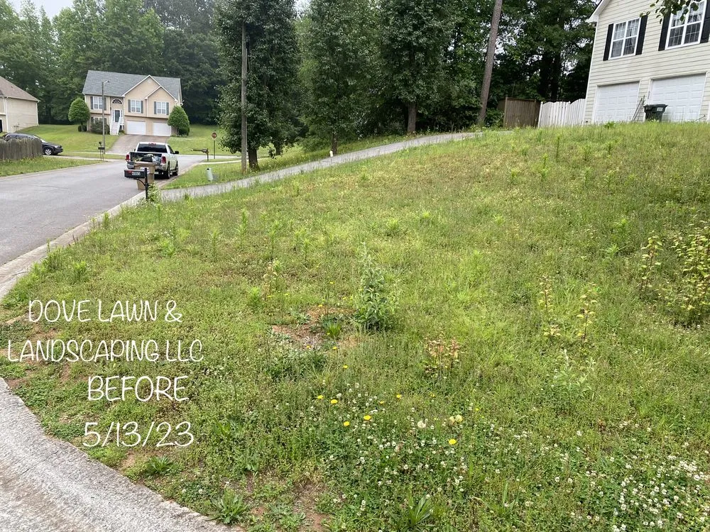 Local landscape design for beautiful yards in Mableton, GA by Dove Lawn Landscaping