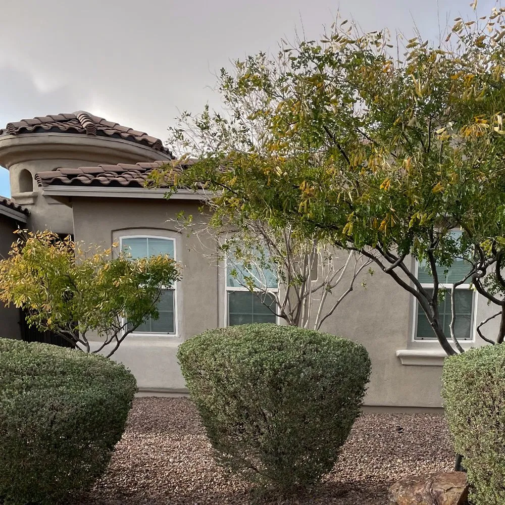 Expert yard maintenance in Tucson, AZ by Dove Mountain Landscaping