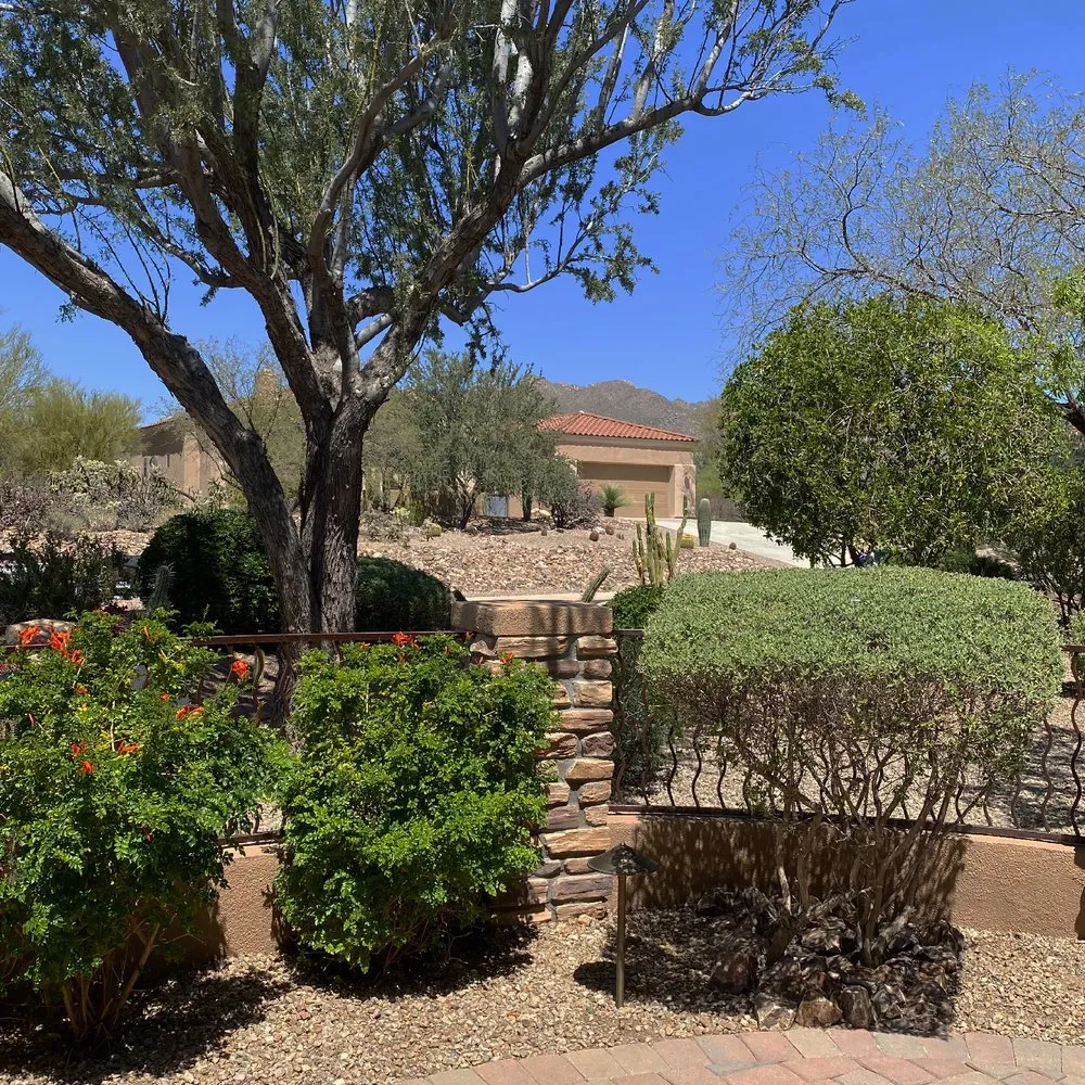 Reliable lawn mowing service for year-round maintenance across Tucson, AZ - Dove Mountain Landscaping