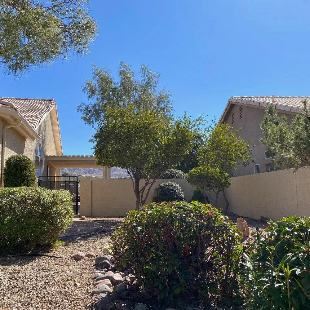 Affordable yard maintenance experts serving Tucson, AZ - Dove Mountain Landscaping