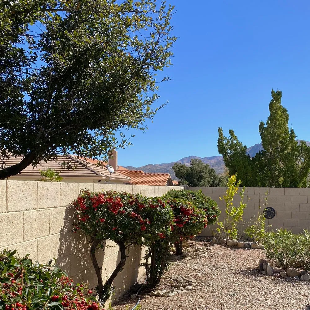 Professional yard maintenance for residential properties across Tucson, AZ - Dove Mountain Landscaping
