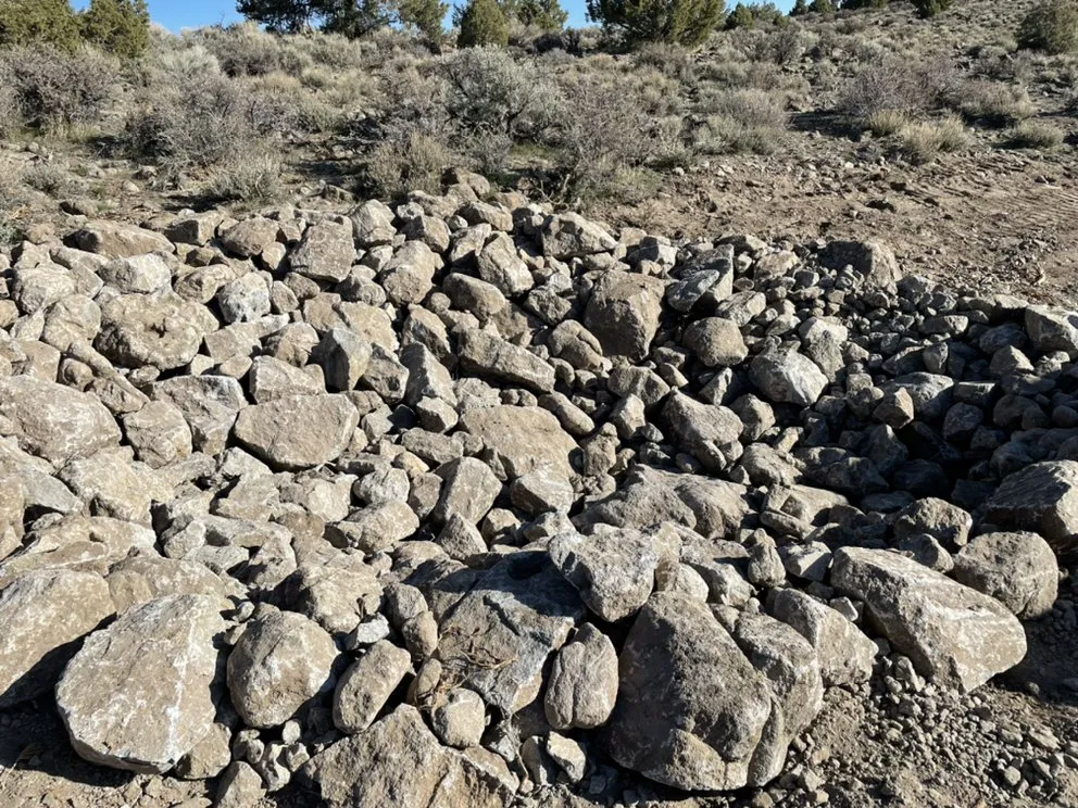 Professional yard cleanup service for beautiful yards in Reno, NV by Dover Handyman Service