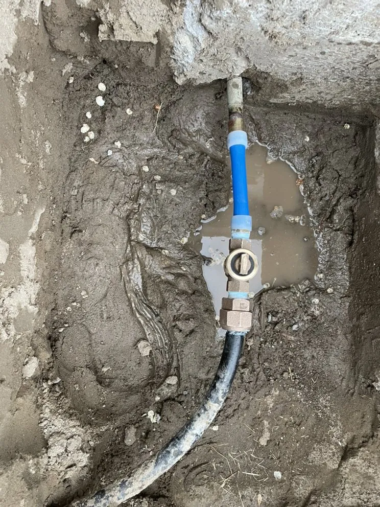 Affordable landscaping services in Reno, NV by Dover Handyman Service