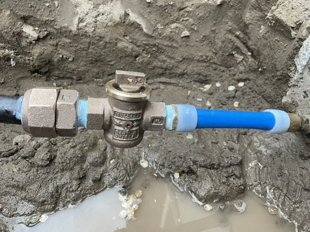 Local landscaping services in Reno, NV - Dover Handyman Service