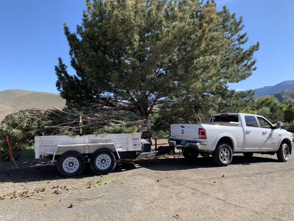 Expert residential landscaping for year-round maintenance across Reno, NV - Dover Handyman Service