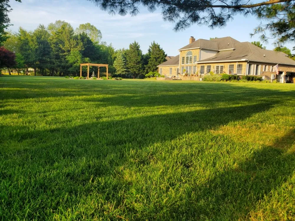 Top-rated landscape installation for beautiful yards across Dover, DE - Dover Lawncare