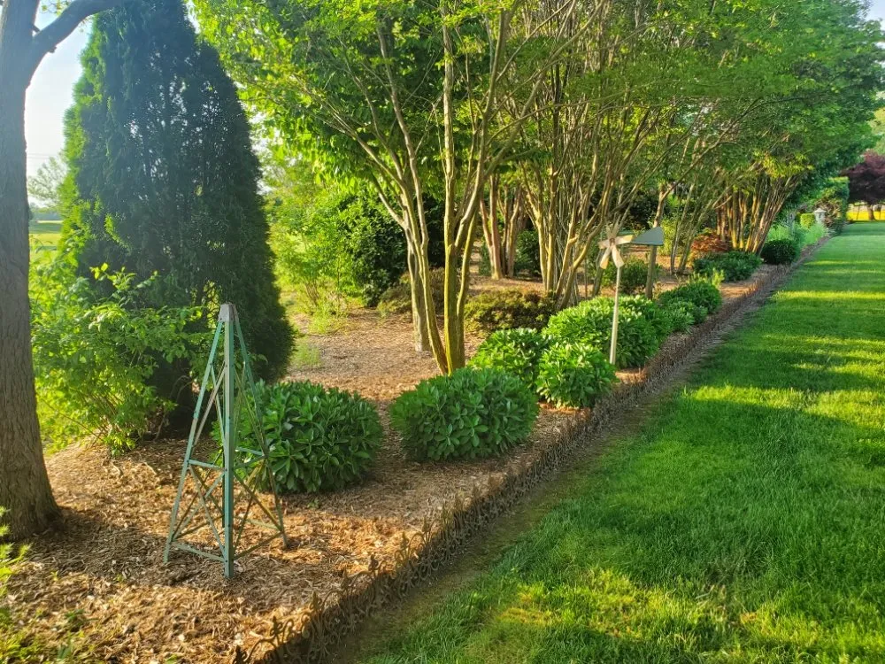 Affordable outdoor landscaping in Dover, DE - Dover Lawncare