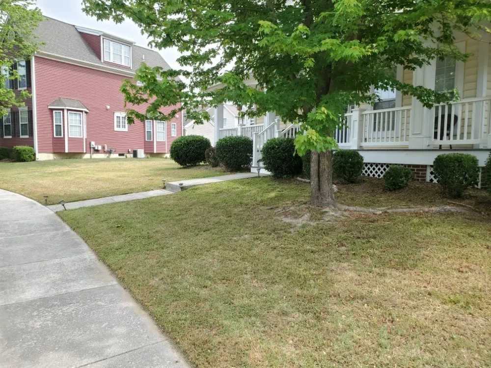 Top-rated residential landscaping in Dover, DE - Dover Lawncare