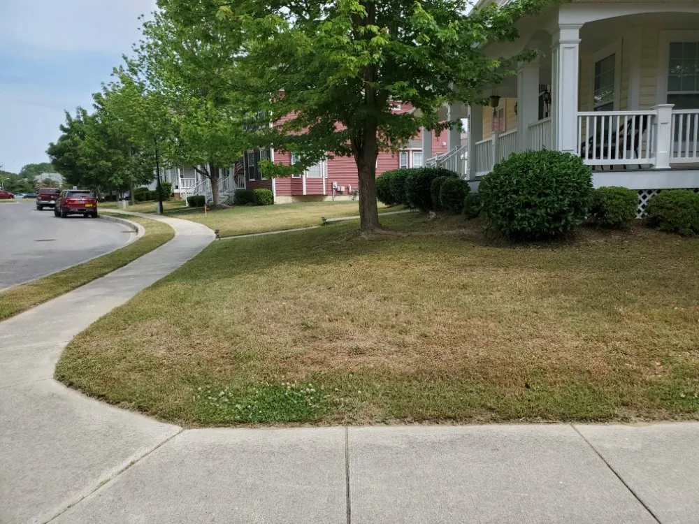 Trusted landscaping services for outdoor upgrades across Dover, DE - Dover Lawncare