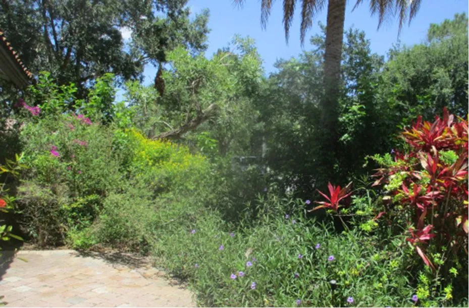 Reliable lawn mowing service experts serving West Palm Beach, FL - Doves All Service