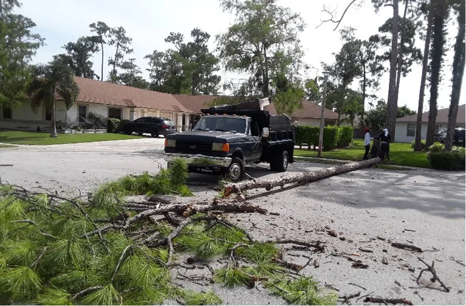 Affordable yard cleanup service for outdoor upgrades across West Palm Beach, FL - Doves All Service