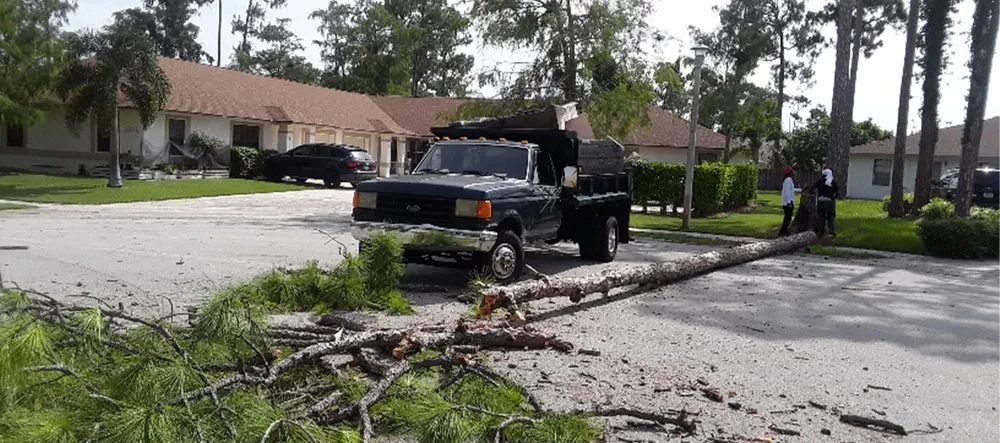 Expert landscape design with custom design across West Palm Beach, FL - Doves All Service