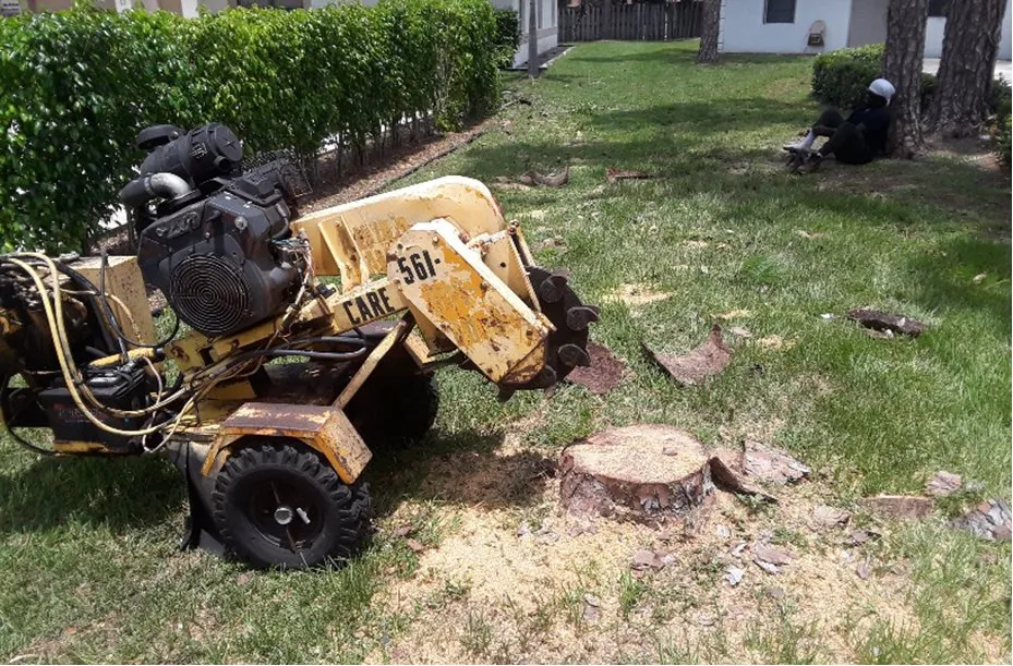 Professional residential landscaping in West Palm Beach, FL - Doves All Service