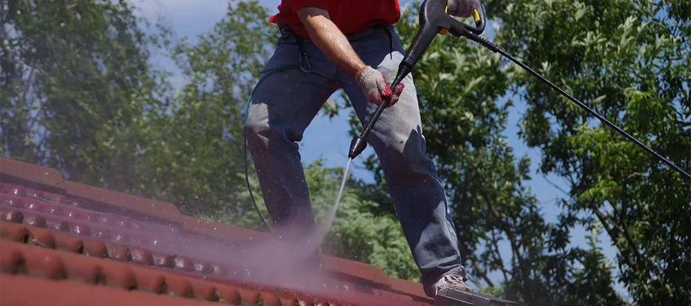 Expert yard maintenance in West Palm Beach, FL - Doves All Service