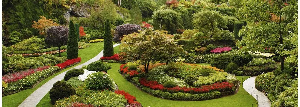 Trusted yard cleanup service in West Palm Beach, FL - Doves All Service