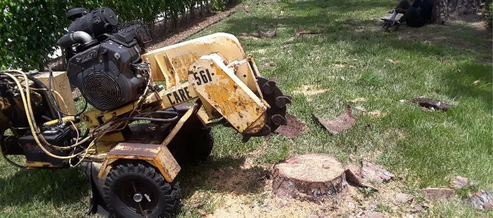 Local garden landscaping in West Palm Beach, FL - Doves All Service