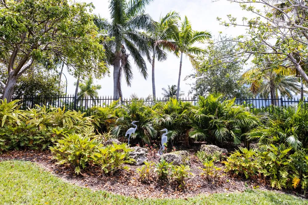 Local residential landscaping for year-round maintenance in Pompano Beach, FL by Dovetail Landscape