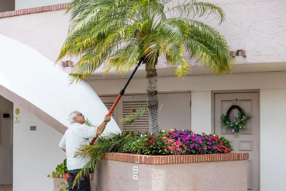 Top-rated landscape installation for homes in Pompano Beach, FL by Dovetail Landscape