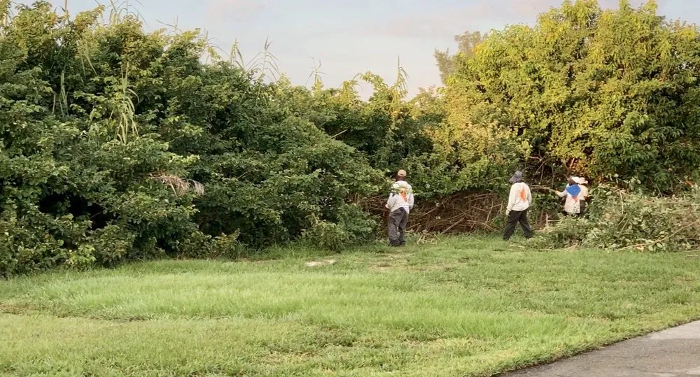 Professional yard maintenance with custom design in Pompano Beach, FL by Dovetail Landscape