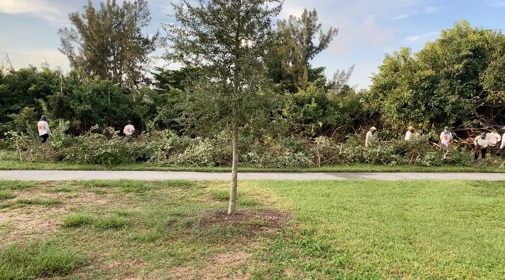 Local garden landscaping in Pompano Beach, FL by Dovetail Landscape