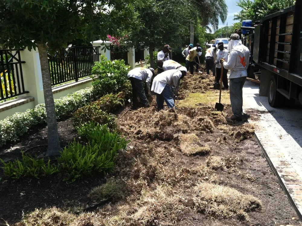 Expert residential landscaping in Pompano Beach, FL by Dovetail Landscape