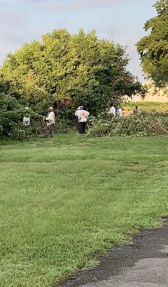 Custom lawn mowing service experts serving Pompano Beach, FL - Dovetail Landscape