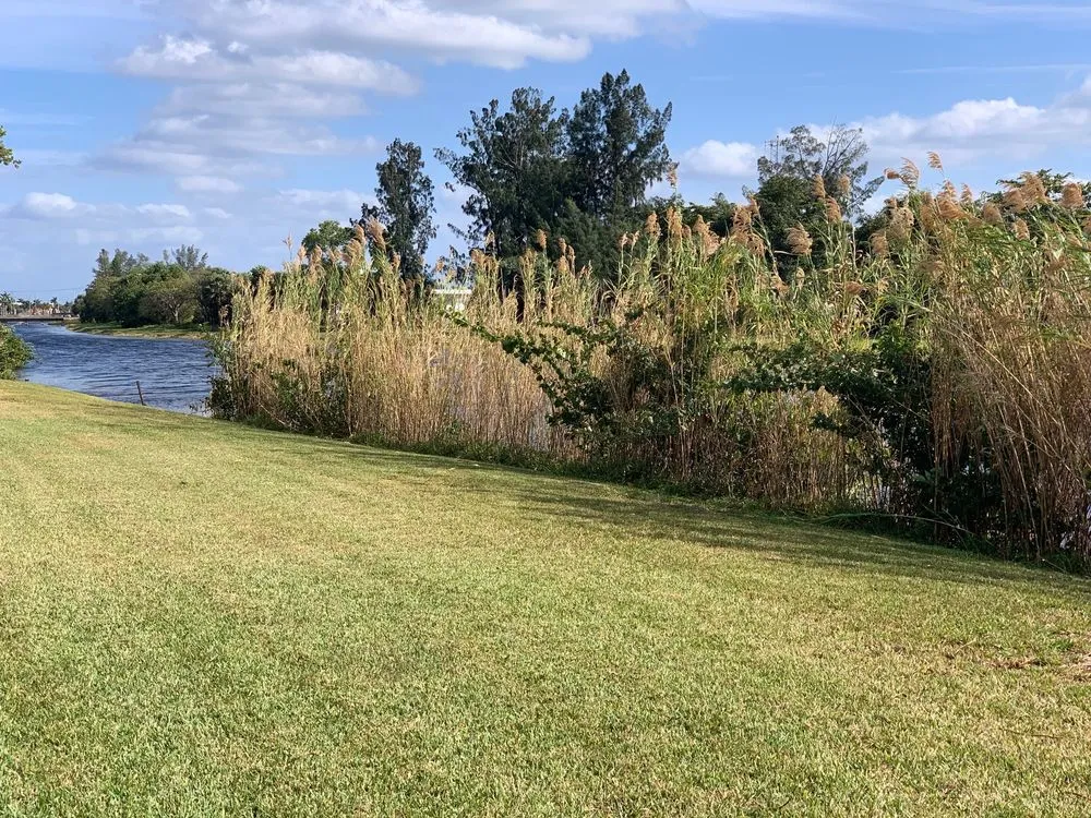 Professional landscape installation in Pompano Beach, FL - Dovetail Landscape