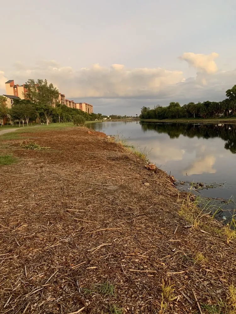 Professional residential landscaping experts serving Pompano Beach, FL - Dovetail Landscape