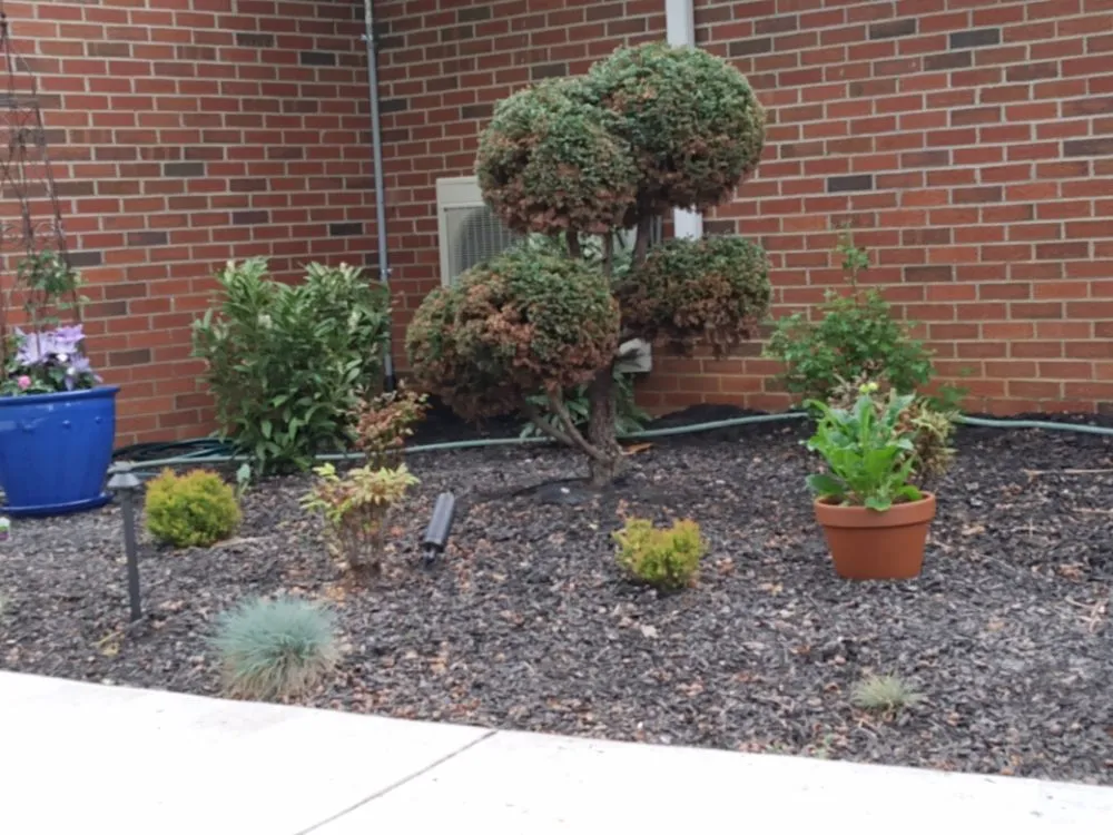 Top-rated landscaping services experts serving Glasgow, KY - Dovito's Lawn Care