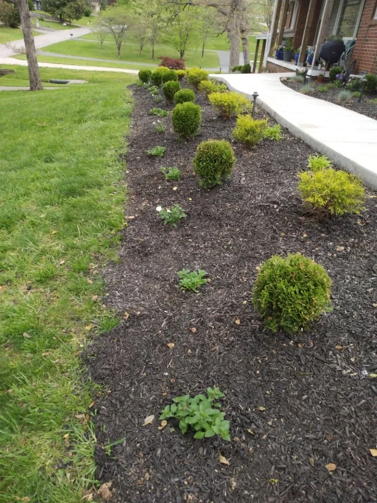 Trusted residential landscaping near you in Glasgow, KY by Dovito's Lawn Care