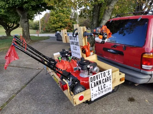 Dovito's Lawn Care